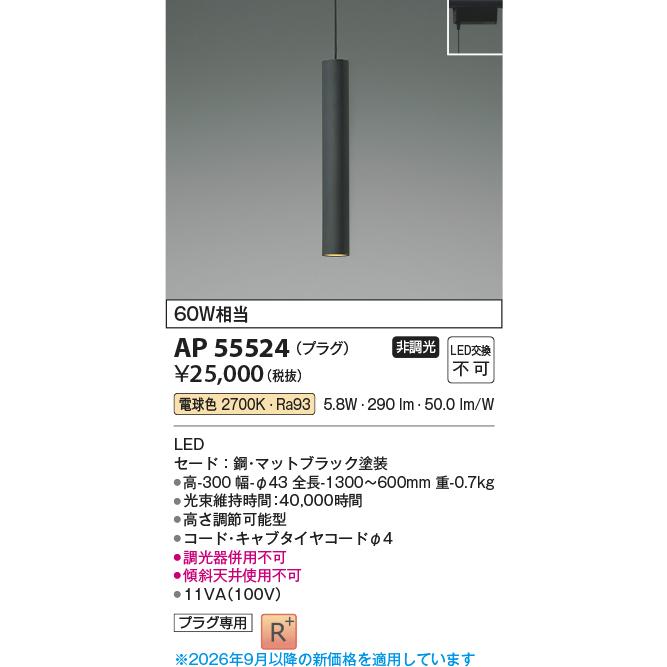 KOIZUMI（コイズミ） コイズミ照明 ダクトレール用ペンダント AP55524