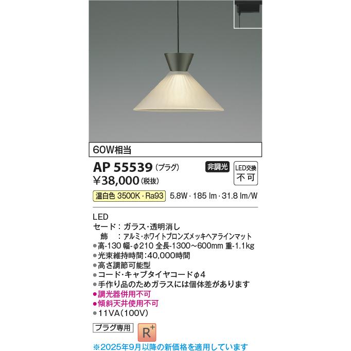 KOIZUMI（コイズミ） コイズミ照明 ダクトレール用ペンダント AP55539