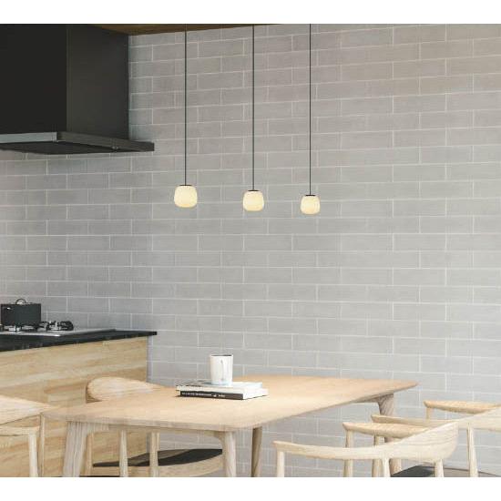 KOIZUMI（コイズミ） コイズミ照明 ダクトレール用ペンダント AP55573