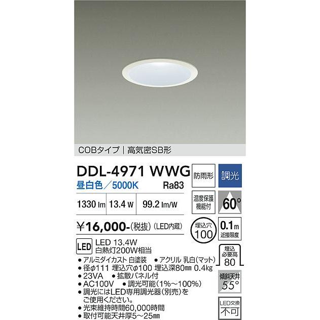 大光電機 ダウンライト(軒下兼用) DDL4971WWG 工事必要 : アート
