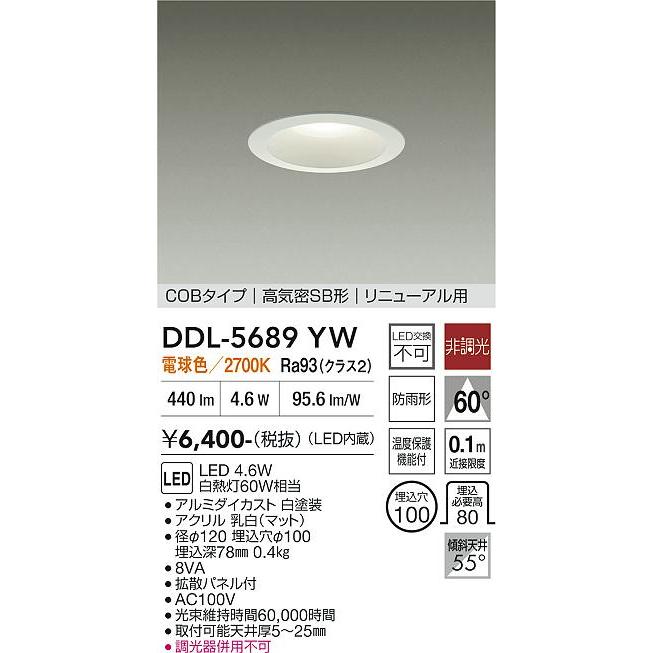 大光電機 屋内・屋外兼用ベースダウンライト DDL5689YW 電球色 Φ100