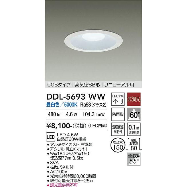 大光電機 屋内・屋外兼用ベースダウンライト DDL5693WW 昼白色 Φ150