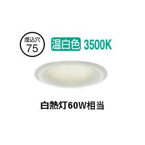 大光電機 屋内・屋外兼用ダウンライト DDL-6299AWG φ75 白熱灯60W相当