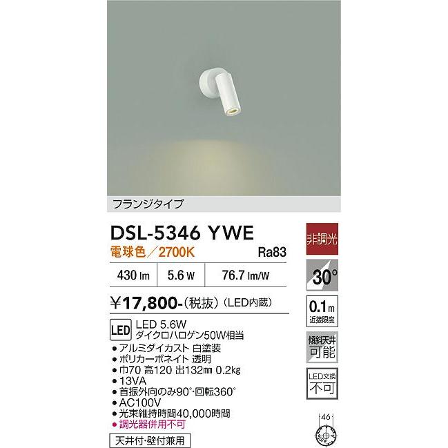 大光電機 直付型スポットライト 屋内用 DSL5346YWE 工事必要 : アート