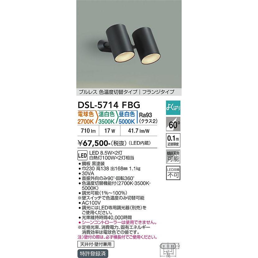 大光電機 スポットライト DSL5714FBG ３色温度切替調光 白熱灯100W×2灯相当 屋内用 工事必要_1