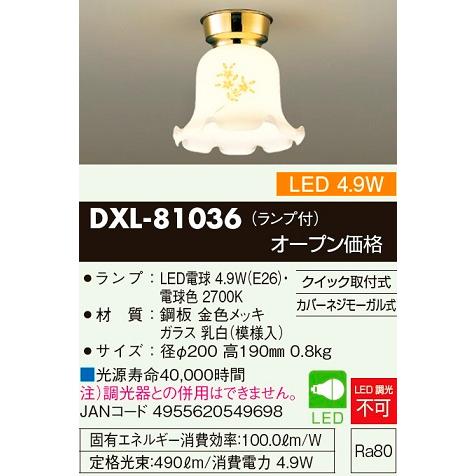 大光電機 小型シーリング DXL81036 : アートライティング Yahoo!店