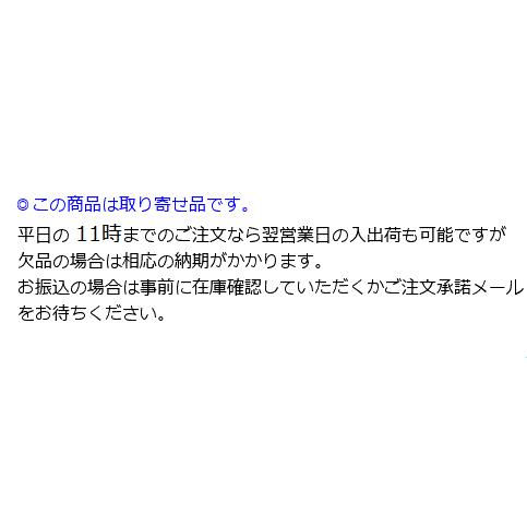 パナソニック ペンダント LGB15317K【北海道・東北・九州送料別途】の画像