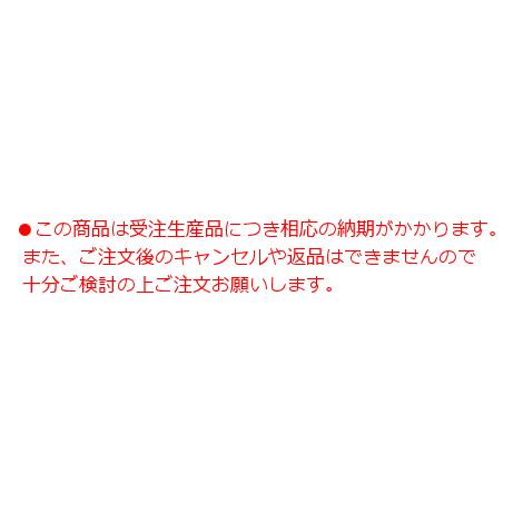 パナソニック ブラケット LGB81777LB1 屋内用 調光 工事必要の画像