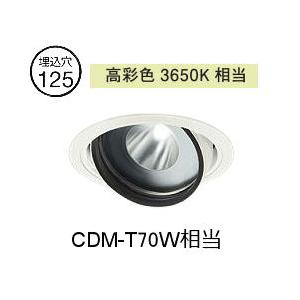 大光電機 生鮮食品用ユニバーサルダウンライト LZD93772PWM 電源別売