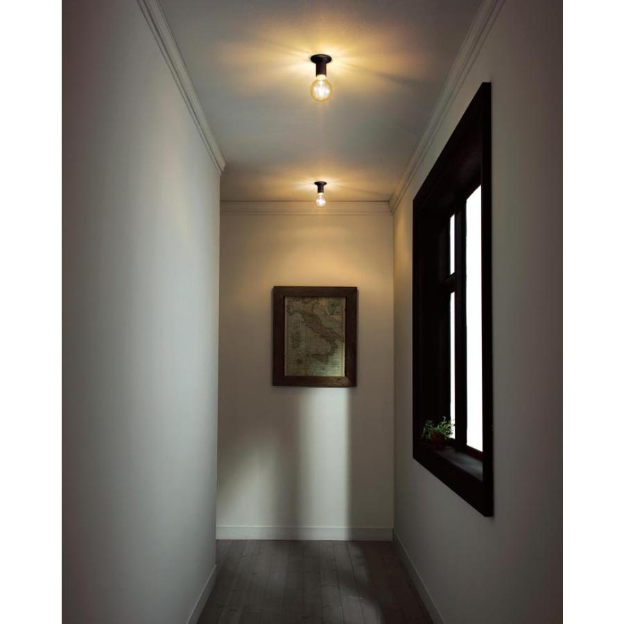 ODELIC（オーデリック） ブラケット兼シーリング OB255139LC1 屋内用