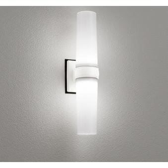 オーデリック 防雨防湿型器具　ポーチライト OG254893NR 工事必要