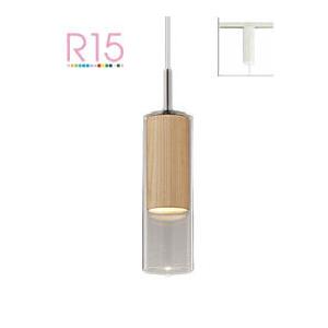 オーデリック ダクトレール用ペンダント OP252900LR