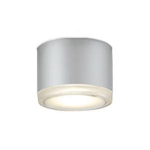 ODELIC（オーデリック） 非常用照明器具・誘導灯器具（防雨型