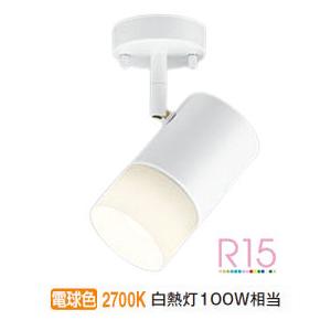 ODELIC（オーデリック） 直付用スポットライト 屋内用 OS256671LR 工事