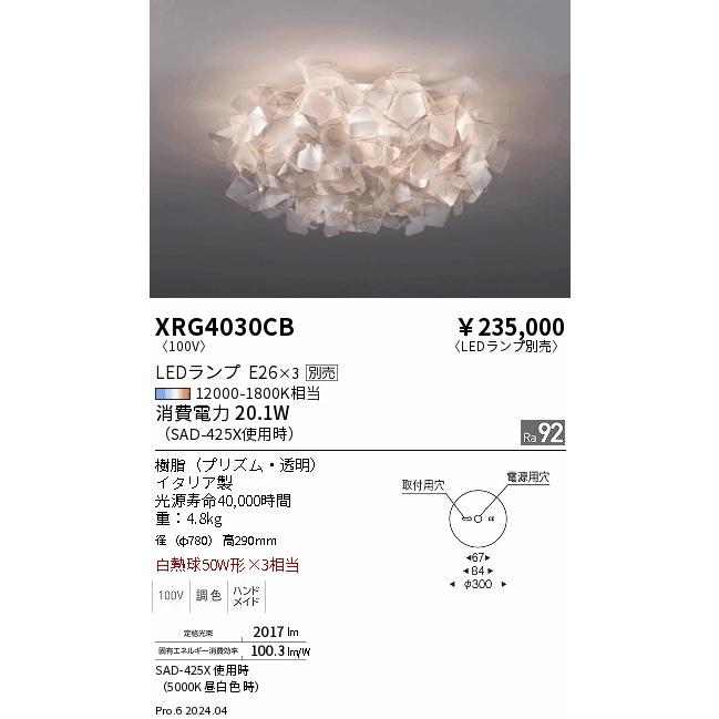 遠藤照明 シーリングライト ランプ別売 無線調光 XRG4030CB 工事必要｜art-lighting｜02