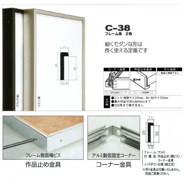 額縁　30号(910㎜×727㎜) 額縁 出展用仮額縁：C-38(C38) F30 号(727×910) （Cライン