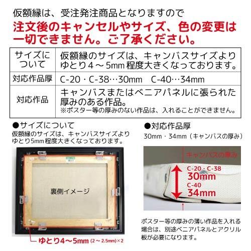 額縁 出展用仮額縁：C-38(C38) S120 号(1940×1940) （Cライン