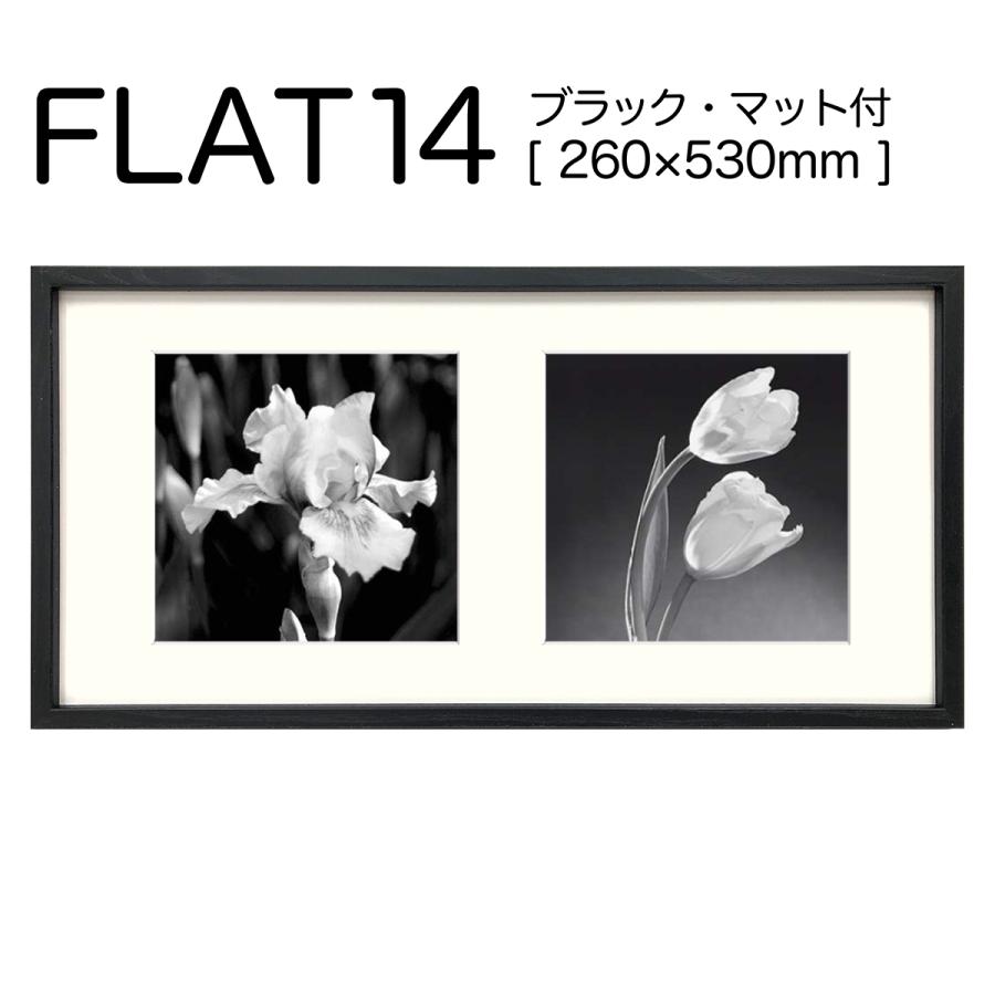 限定品】FLAT14(黒) マット付 [260×530mm] : マルニ額縁画材店 Yahoo