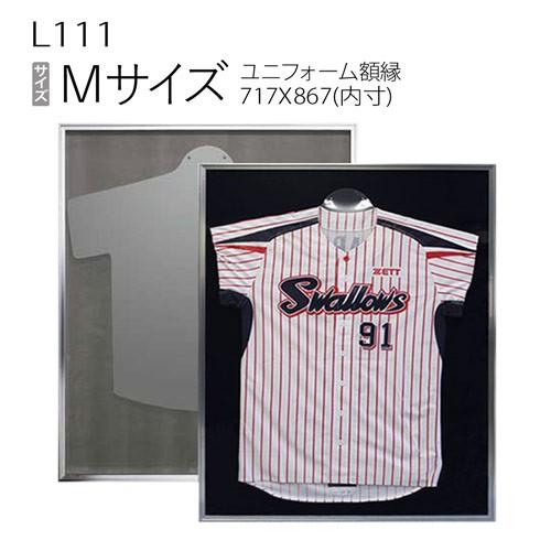 額縁 ユニフォーム額縁:L111(Mサイズ)(旧P111) : マルニ額縁画材店