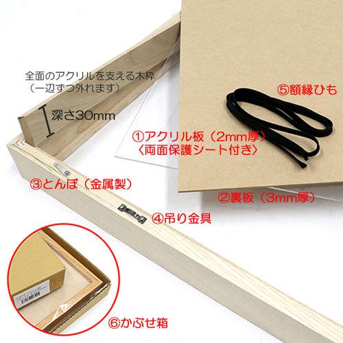 油彩額縁 MRN-A5510-C 無垢（高さ45mm） P15 号(652×500) 13mmネジ付 （UVカットアクリル仕様・木製・油絵用額縁・キャンバス用フレーム）の画像