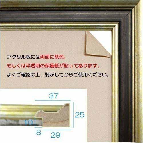 額縁 MRN-D5003-D 35×70(350×700mm) ワイド フレーム シャンパン