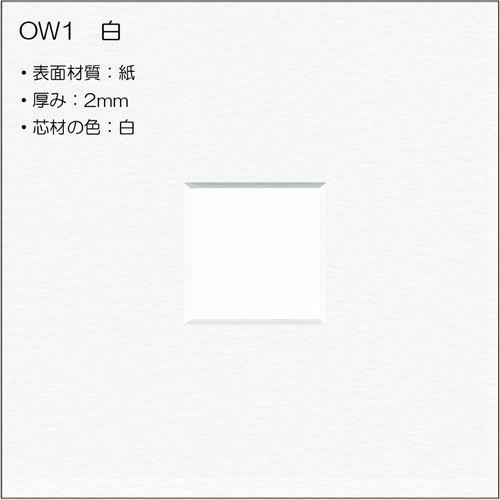 レコード額縁:MRN-K1511(M-025金具付) : マルニ額縁画材店 Yahoo!店
