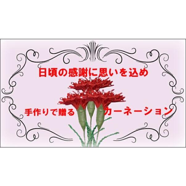 水引キットで作るカーネーション （ネコポス ゆうパケット便）可