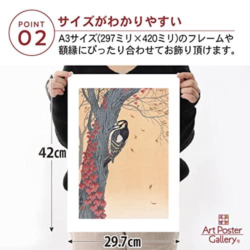 小原古邨 作品 ポスター A3サイズ アカゲラ グッズ 絵画 おしゃれ