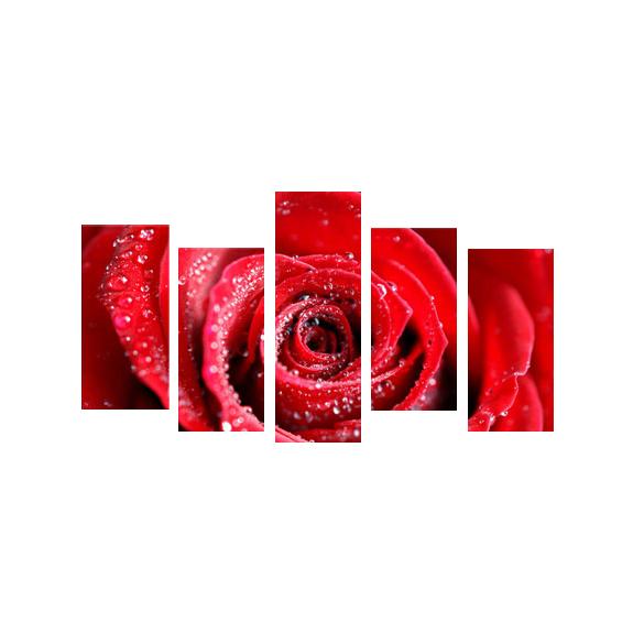 図画 室内装飾 工芸 ダイアログボックス 花 薔薇 サクラ色 リビング かざり付ける マルチ色つや 5ダイアログボックス 全幅150珊 楽器、手芸、コレクション-その他コレクション、趣味