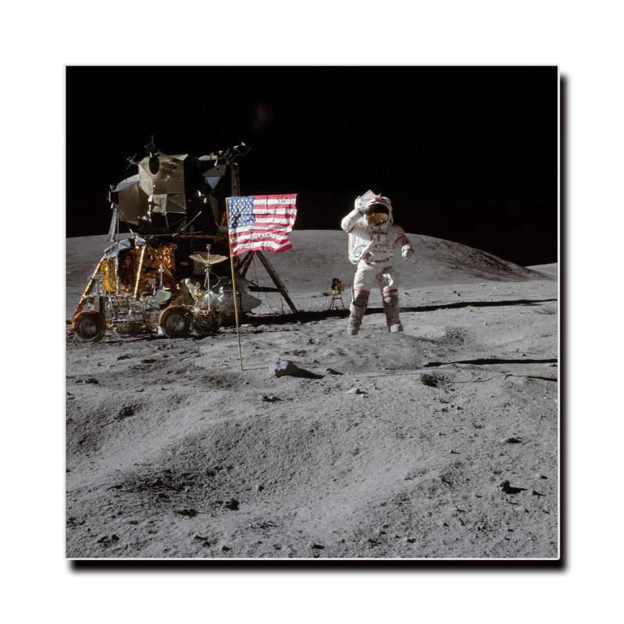 ファブリック ウォール アート キャンバス パネル 絵画 名画 ポスター