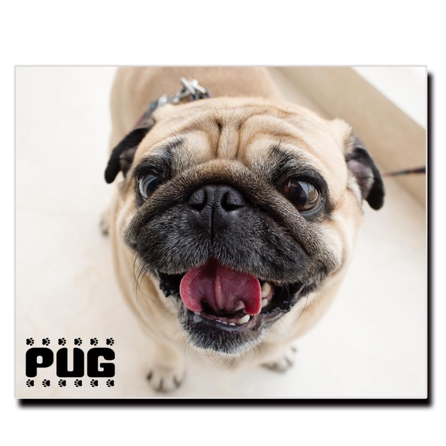 アートパネル　アート　絵画　絵　ポスター　壁掛け　額縁　ギャング　ラッパー　犬 463469lh.jpg