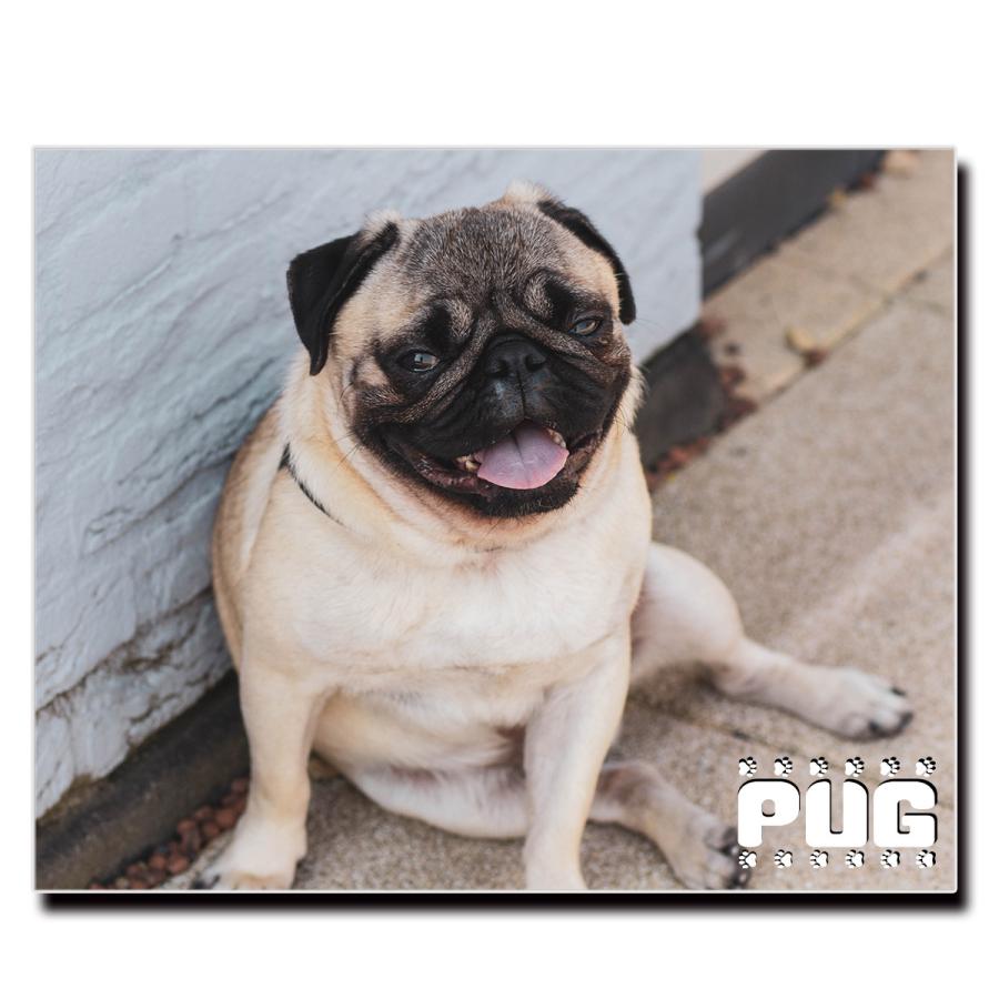 ファブリック ウォール アート キャンバス パネル 絵画 名画 ポスター