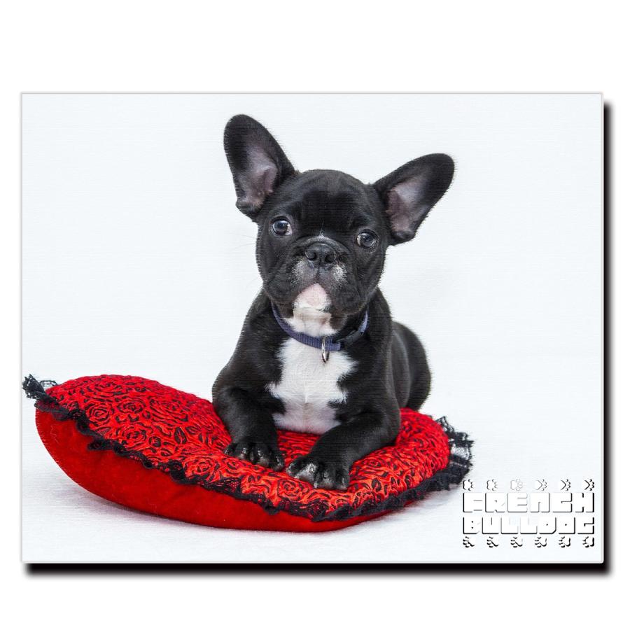 キャンバスアート　フレブル　バンド　壁掛け　アート　絵　ミュージック　ポスター キャンバスアート フレブル バンド 壁掛け アート 絵