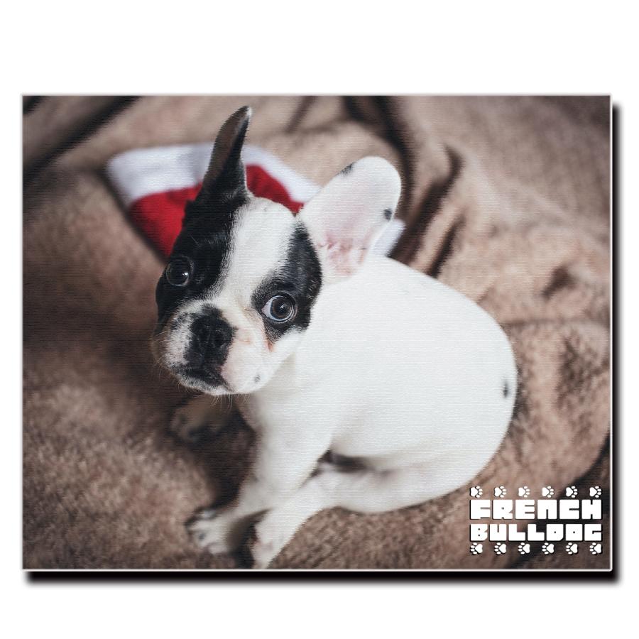 キャンバスアート　フレブル　バンド　壁掛け　アート　絵　ミュージック　ポスター キャンバスアート フレブル バンド 壁掛け アート 絵