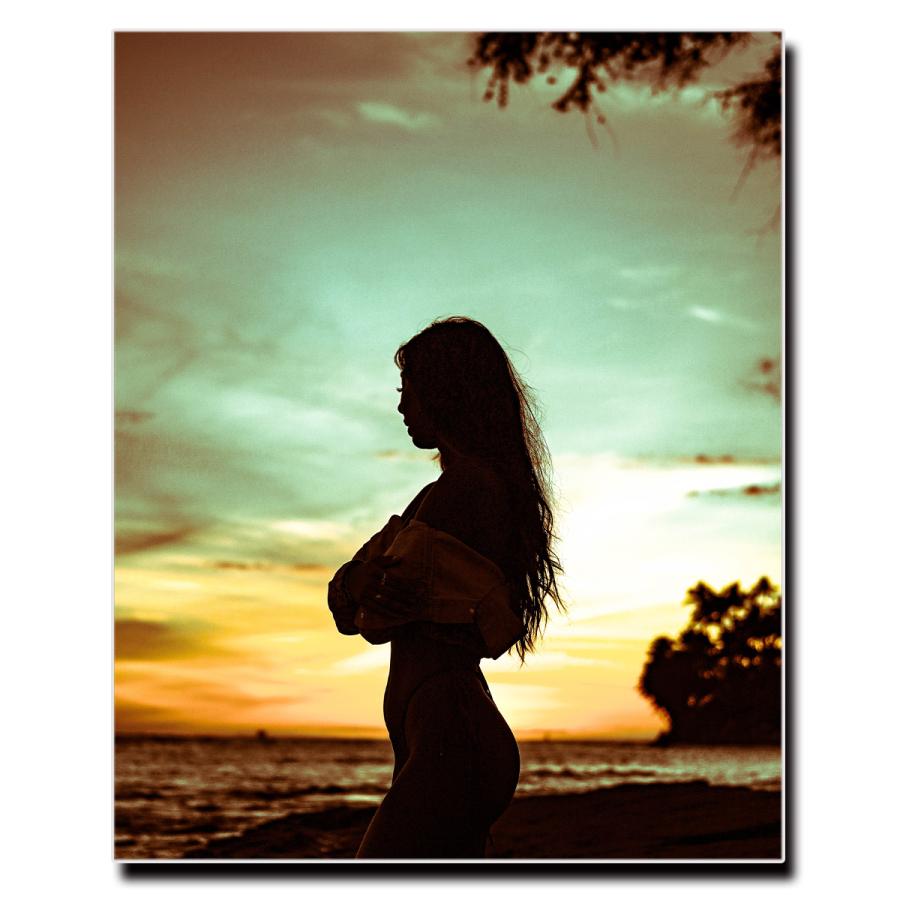 ファブリック ウォール アート キャンバス パネル 絵画 名画 ポスター