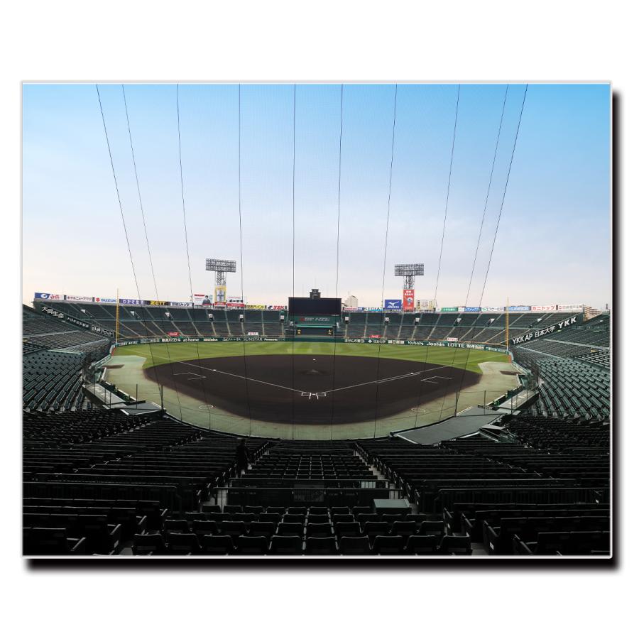 アート パネル 甲子園 スタジアム オフィシャル 承認 野球 キャンバス
