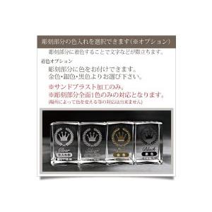 クリスタルトロフィー イベント 記念 ギフト WCR-37カラー (小)の画像