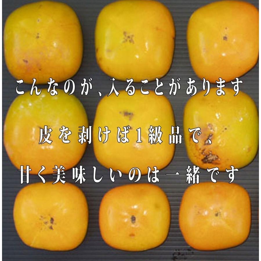 【お試し用】T枝付 約1.5-2kg 大玉平タネ無生渋柿  吊るし柿加工用　9-12個　この平たねなし柿はリピートが多い品種です10/下旬〜11月上旬発送T-ed2｜art-waiwai-farm｜05