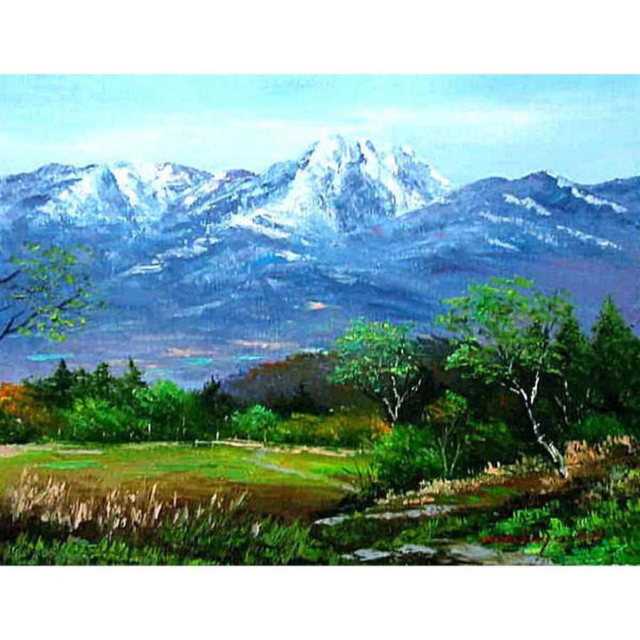 F10油絵 長野初夏風景 F10油絵 長野初夏風景 楽天市場】油彩画 洋画 (油絵額縁付きで