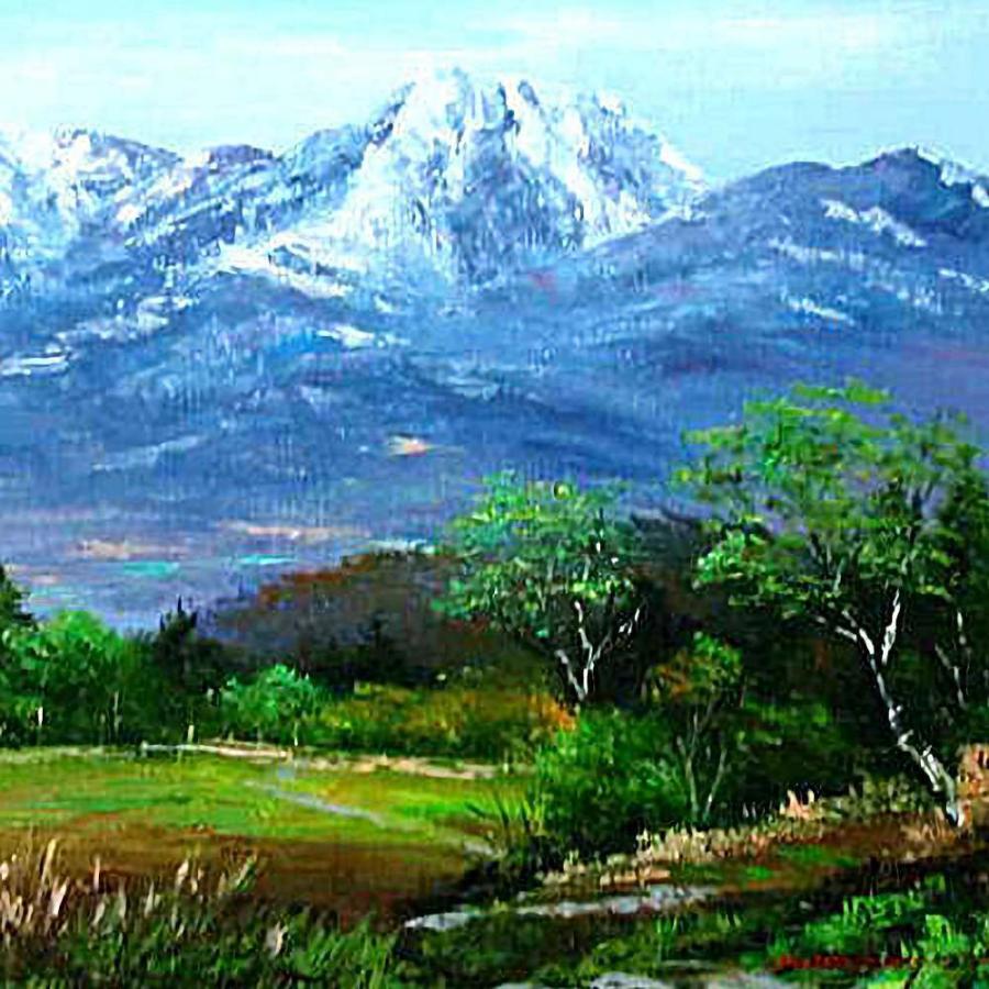 絵画 インテリア アート 壁掛け 額装 小林幸三 八ヶ岳 F10号