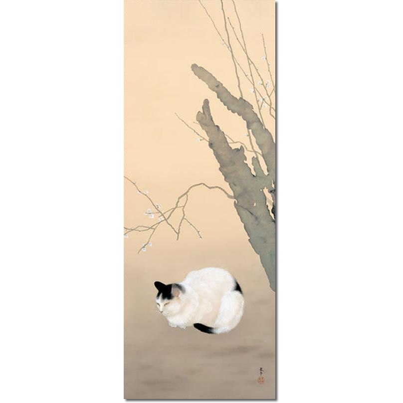 菱田春草 掛け軸 春の朝 掛け軸 掛軸 菱田春草（ひしだしゅんそう）・ 猫梅（ねこうめ） 尺五