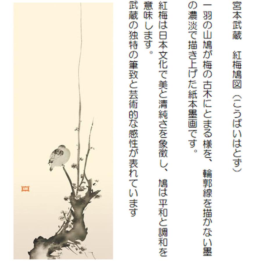掛け軸 掛軸 宮本武蔵 紅梅鳩図 ( こうばいはとず ) (尺五 掛け軸 掛軸 宮本武蔵 紅梅鳩図 ( こうばいはとず ) (尺五