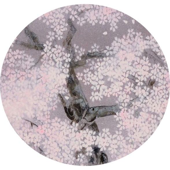 中島千波・瀧桜（たきざくら）（絵画・版画） : 絵画生活 - 通販