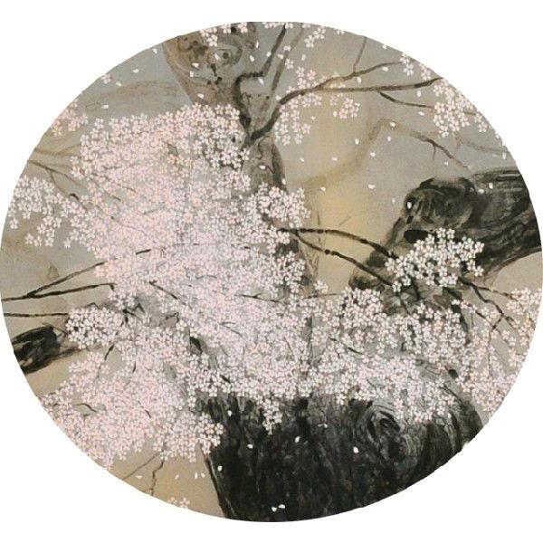 中島千波・醍醐の桜（だいごのさくら）（四曲半双屏風）（よんきょくは