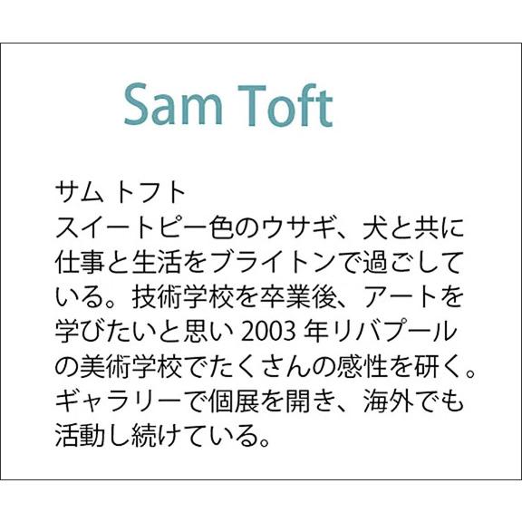 サムトフト　「彼女の好きな雲」 imgrc0081408365.jpg