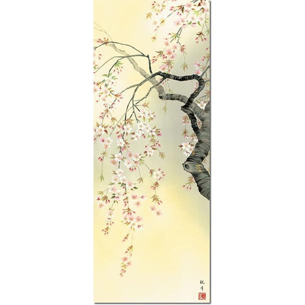 掛け軸　四季趣彩　森山観月・四季花鳥 四幅揃い 尺三 掛け軸 花鳥画 床の間_1