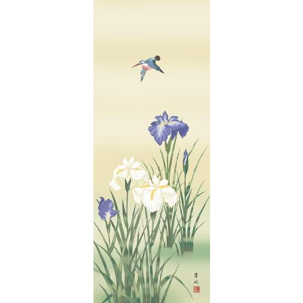 掛け軸 掛軸 初夏 緒方葉水・菖蒲 尺五 花鳥画 床の間 桐箱畳紙収納