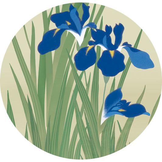 燕子花水鶏図　酒井抱一 絵画 酒井 抱一（さかいほういつ）・ 燕子花に水鶏図（ かきつばた