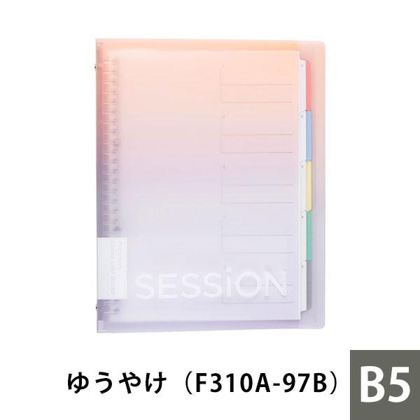 maruman（マルマン） B5 バインダー SESSiON 26穴 全4色 えんぴつで