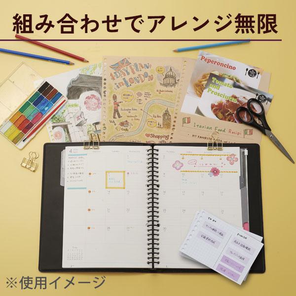 maruman（マルマン） バインダー B5 ファイルノート ジウリス 全6色 26